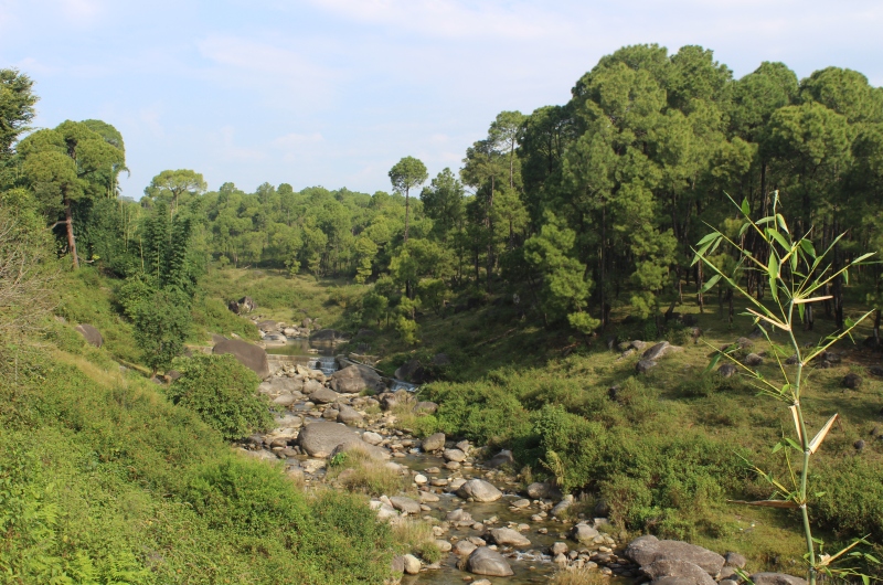 Nature Bloom Hotel & Resort