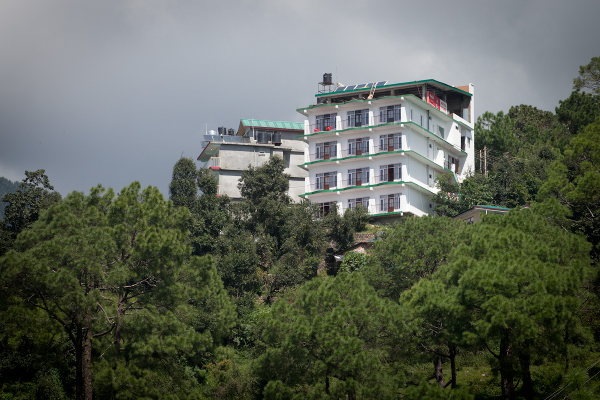 Pong View Dharamshala