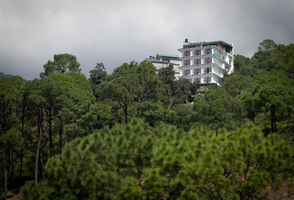 Hotel Pong View Dharamshala