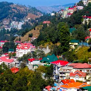 Shimla