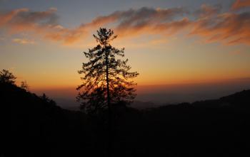 Himachal Hightlights 09 Nights 10 Days